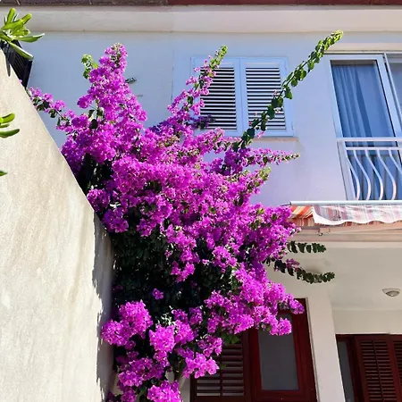 Apartment By The Sea Prizba, Korcula - 23527 Blato (Korcula)